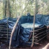2 piscinas clandestinas fueron halladas en Sucumbíos