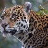 Noticiero Semanal El Oriente 28-06-19
