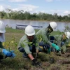 Petroecuador avanza con la remediación ambiental en Sucumbíos y Orellana