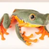 Ecuador: ONU conoce potencial biomédico de tres ranas amazónicas