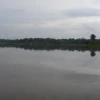 Jatuncocha, la laguna ubicada en el corazón del Yasuní 