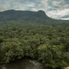 La reserva biológica Cerro Plateado es un paraíso para investigadores