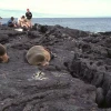 Galápagos recibió en la primera mitad de 2022 casi tantos turistas como todo 2021