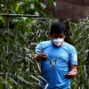 El "oro verde" de la Amazonía ecuatoriana