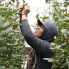 Créditos del BID apuntalan financiamiento productivo en la Amazonía ecuatoriana