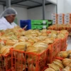 Expertos de 10 países capacitaron sobre producción orgánica