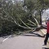 Inami advierte ráfagas de viento de 50 km/h en Cotopaxi, Imbabura y Chimborazo

