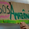 WWF alerta de que deforestación de Amazonía acelera hacia punto de no retorno