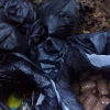 Las Fuerzas Armadas encontraron explosivos en General Farfán