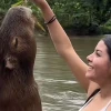 Kuri Warmi, donde los visitantes pueden nadar con una capibara 