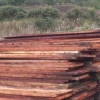 Ministerio del Ambiente retiene 6.93 metros cúbicos de madera en Sucumbíos 
