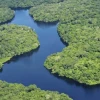 La ONU alertó sobre la esclavitud moderna ligada a la destrucción de la Amazonía en Brasil