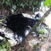 Contaminación por derrame de crudo del bloque Yuralpa, en Napo