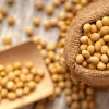 La soya sostenible de EE.UU. es impulsada en Ecuador