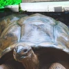 Galápagos ganó el premio de oro de Wanderlust 