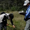 Colombia: La guerra en la Amazonía recrudece 