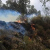 60 alertas de incendios forestales se atendieron en menos de 2 días