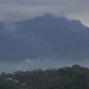 La deforestación en Morona Santiago se dispara 