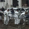 14 sentenciados por el ataque al cuartel policial de San Lorenzo 