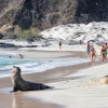 Galápagos recibió 280.000 turistas en 2024, 15 % menos que en 2023