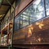 La estación científica que lleva más de tres décadas estudiando los secretos del Yasuní
