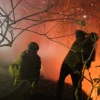 38.000 hectáreas han sido arrasadas por incendios en Ecuador