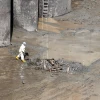 Principales noticias de Ecuador hoy - 27 de mayo de 2024 