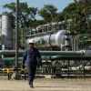 Los ingresos petroleros previstos para 2020 caerán a la mitad