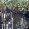 Las Fuerzas Armadas descubrieron seis acoples clandestinos en el oleoducto