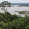 Ecuador celebra el Día Internacional de la Tierra