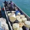 La Armada incautó 1,44 toneladas de cocaína cerca de Galápagos