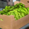 La caja de banano sube a $ 7,50 desde 2026