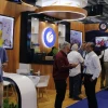 El camarón ecuatoriano rompió récords en 2025