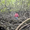 En cuarenta años se han perdido 56.396 hectáreas de manglar en Ecuador