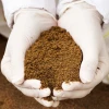 La exportación de productos no tradicionales aumentó hasta en 400 %