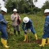 Firma minera con Venezuela se liquidará 