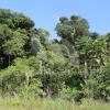 Petroamazonas avanza con la remediación ambiental