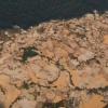 La deforestación en Colombia aumentó en 2025 un 5,2%