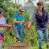 La agricultura sostenible es fortalecida en Tena 