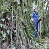 La agricultura vertical se plantea como solución a deforestación en Amazonía ecuatoriana