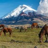 Turismo en Ecuador: los volcanes se consolidan como destinos para vivir experiencias más allá del paisaje 
                                                width=