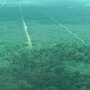 "¡Claro que sí podemos reforestar la Amazonía!"