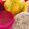 Productos de Ecuador que ingresan con arancel 0 % a Estados Unidos. Un primer paso hacia un Tratado de Libre Comercio

