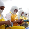 Protestas dejan pérdidas de $ 50 millones