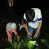 Tena y Quito, en tercer y cuarto lugar en reto mundial de observaciones de biodiversidad
