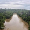 Nuevo canje de deuda generará $ 460 millones para conservar la Amazonía