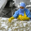 Ecuador necesita crecer, al menos, 5% para dar bienestar a sus ciudadanos 