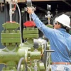 El precio del crudo promedió este año USD 35, según lo previsto