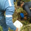 Denuncian contaminación en playas de Cuyabeno