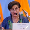 Sommerfeld afirma que Abad "está actuando en contra de Ecuador"